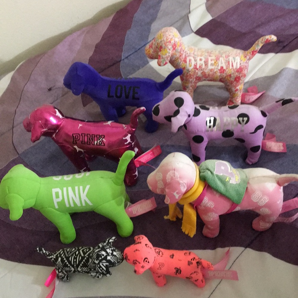 Vs Pink Dogs - Picture 5 of 6